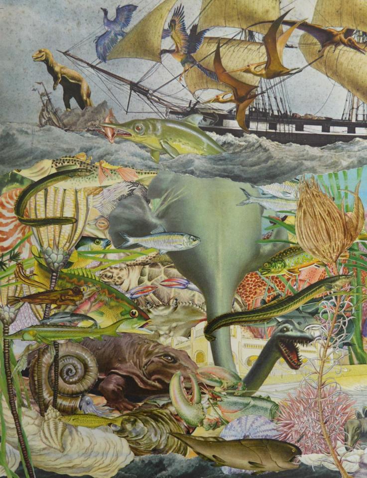 Quentin Montagne - Merveilles de la nature