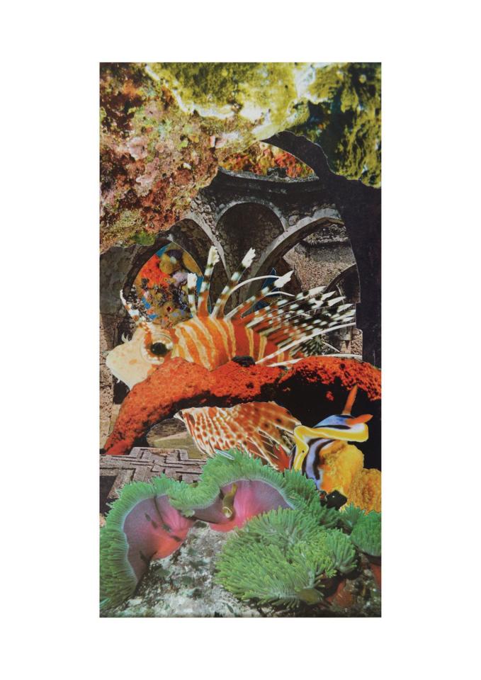 La rascasse, 2017. Collage, 34,3 x 17,4 cm. Collection particulière