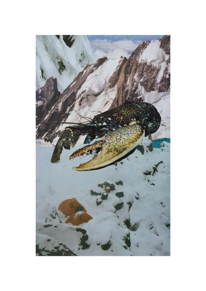 Fear the Crayfish, 2017. Collage, 31,9 x 19,4 cm