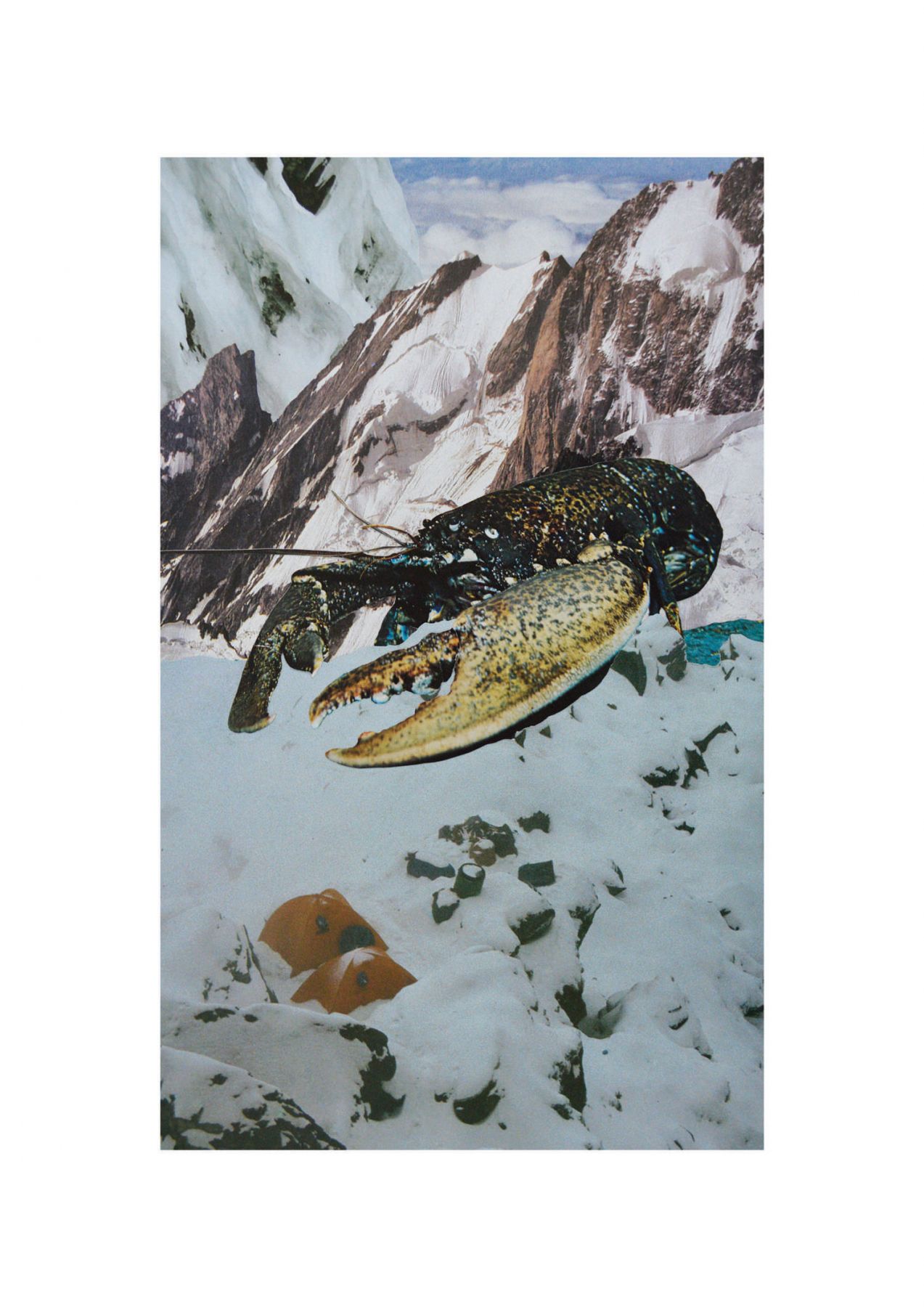 Fear the Crayfish, 2017. Collage, 31,9 x 19,4 cm