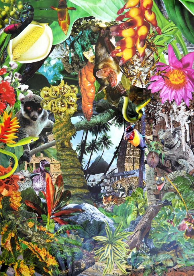 quentin Montagne - Paradise Islands